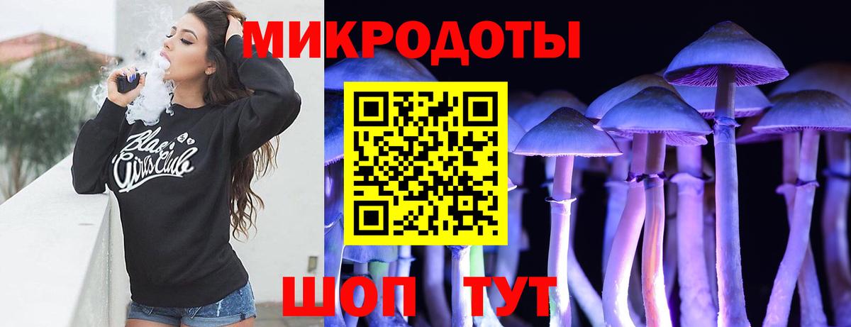 Галлюциногенные грибы Psilocybe  купить наркотик  Псилоцибиновые грибы прущие грибы  Скопин  Вход с VPN 